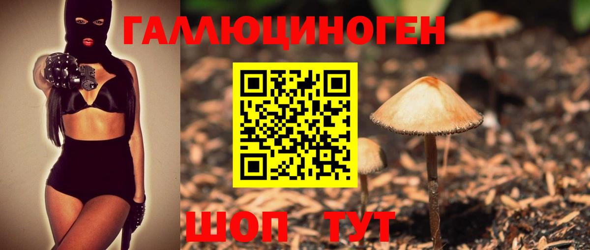 Протвино  Псилоцибиновые грибы мухоморы  Вход с VPN  сколько стоит  Псилоцибиновые грибы Psilocybe 